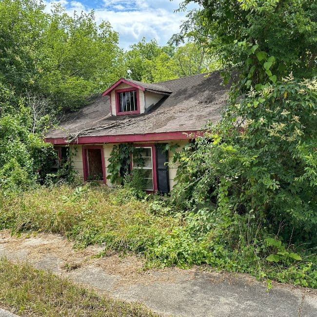 Small house with red trim partially hidden by overgrown vegetation.